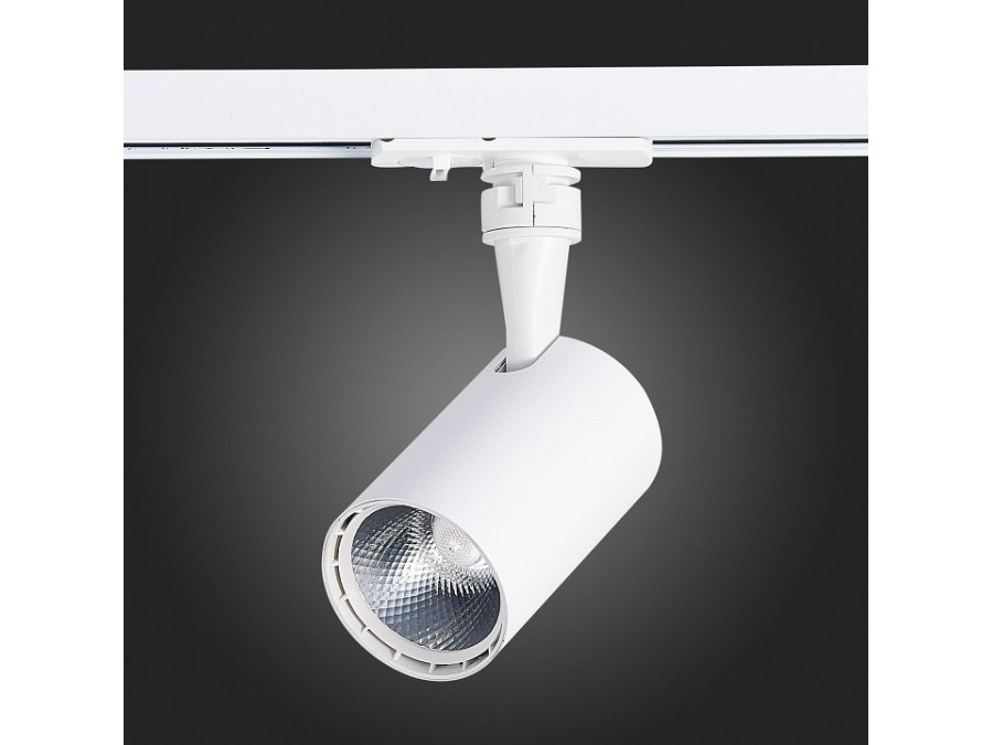 Светильник на штанге ST-Luce Cami ST351.536.10.24