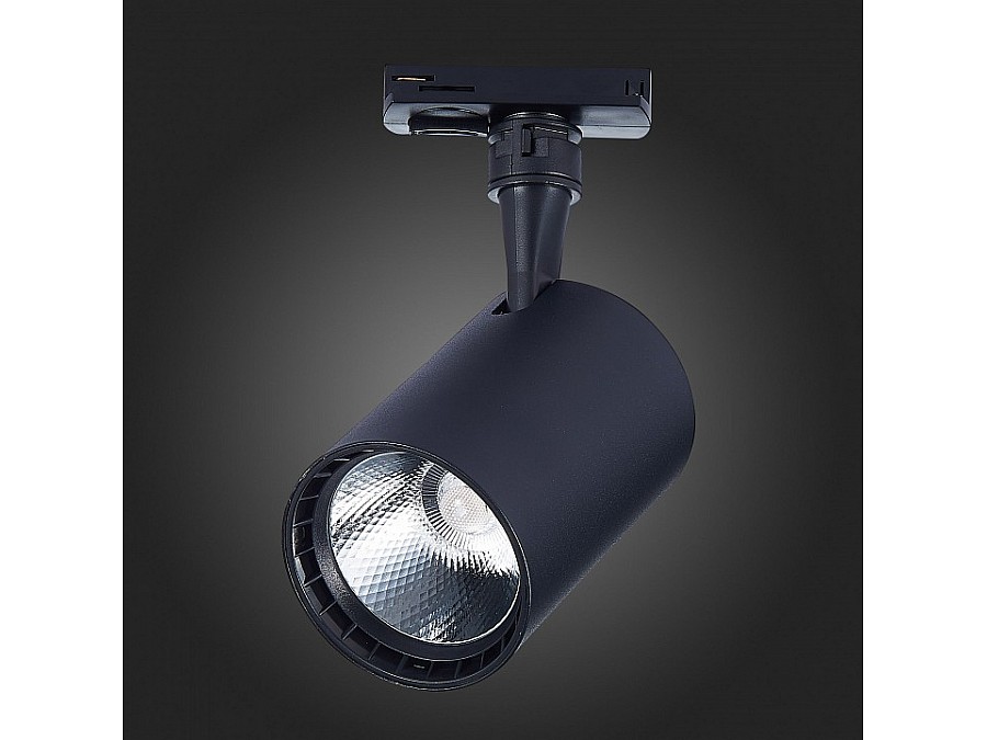 Светильник на штанге ST-Luce Cami ST351.446.20.36