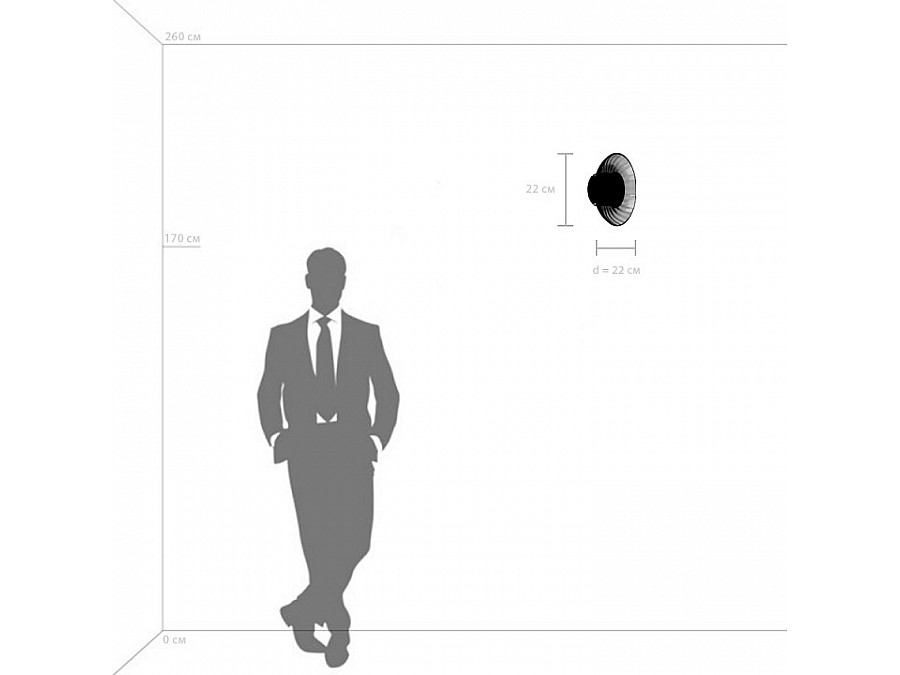 Накладной светильник Lightstar Celesta 809013