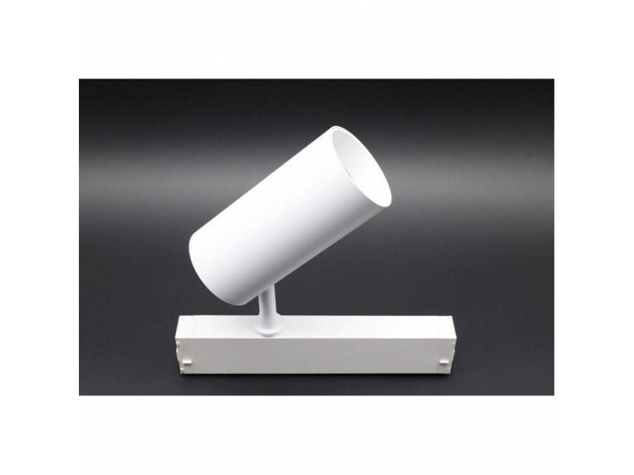 Светильник на штанге Aployt Magnetic track 220 APL.0205.10.20