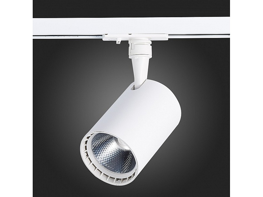 Светильник на штанге ST-Luce Cami ST351.536.15.24