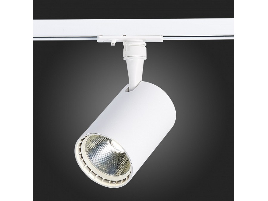 Светильник на штанге ST-Luce Cami ST351.546.20.36