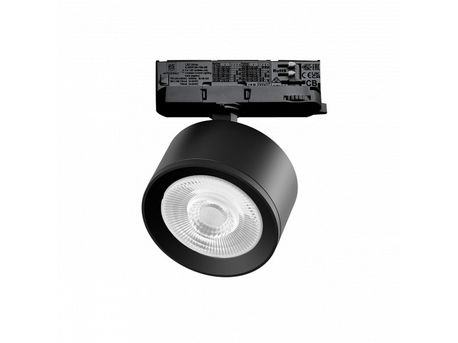 Светильник на штанге Lightstar Alta Pro A5547QT60G