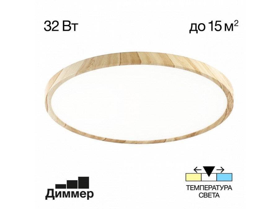 Накладной светильник Citilux Бейсик CL738322V