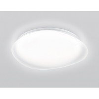 Накладной светильник Ambrella Light ORBITAL FZ1610