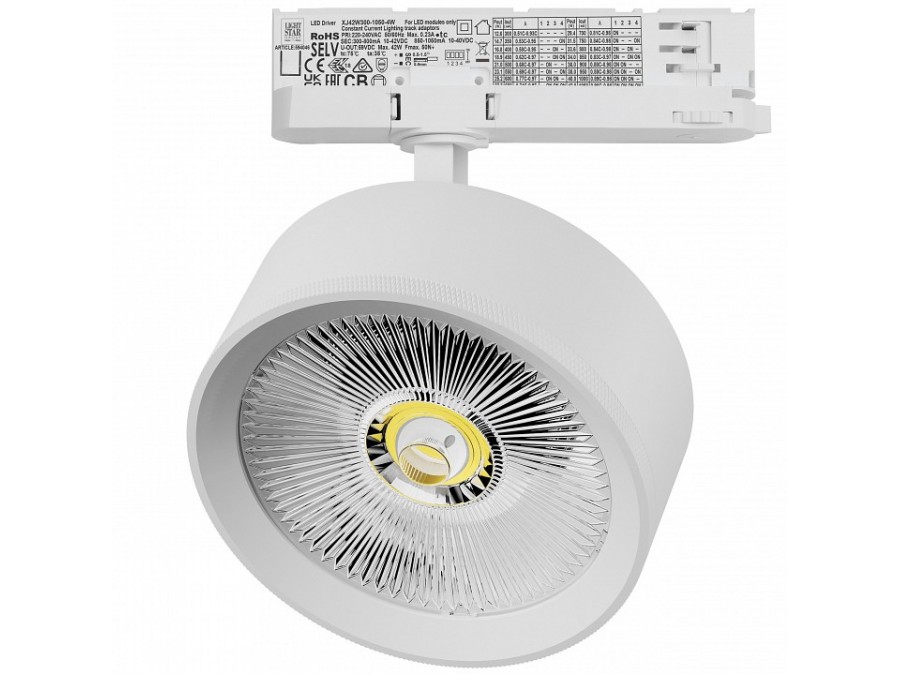 Светильник на штанге Lightstar Alta Pro A5746QT