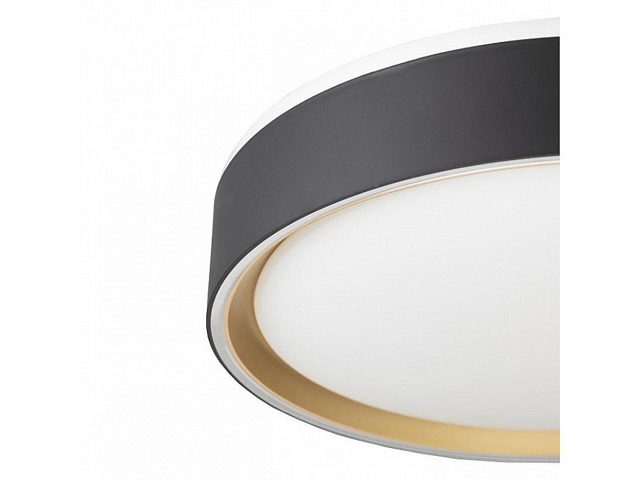 Накладной светильник Citilux BOSS CL751251G