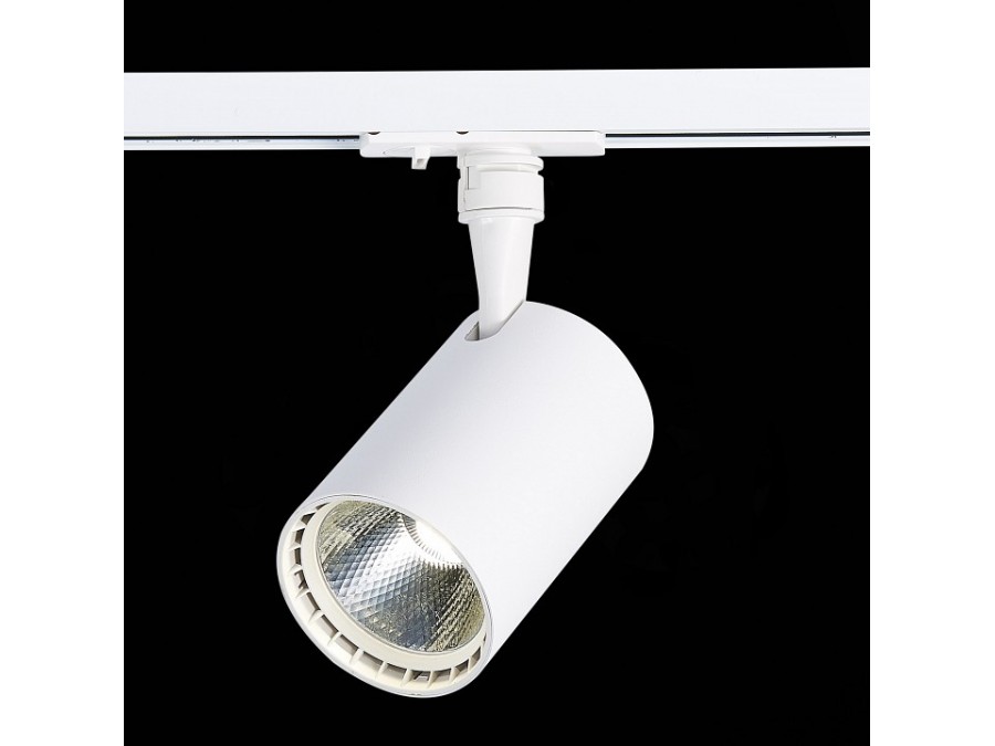 Светильник на штанге ST-Luce Cami ST351.546.20.36