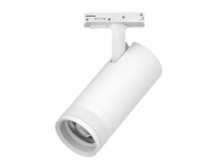 Светильник на штанге Lightstar Canno Pro C4206SS