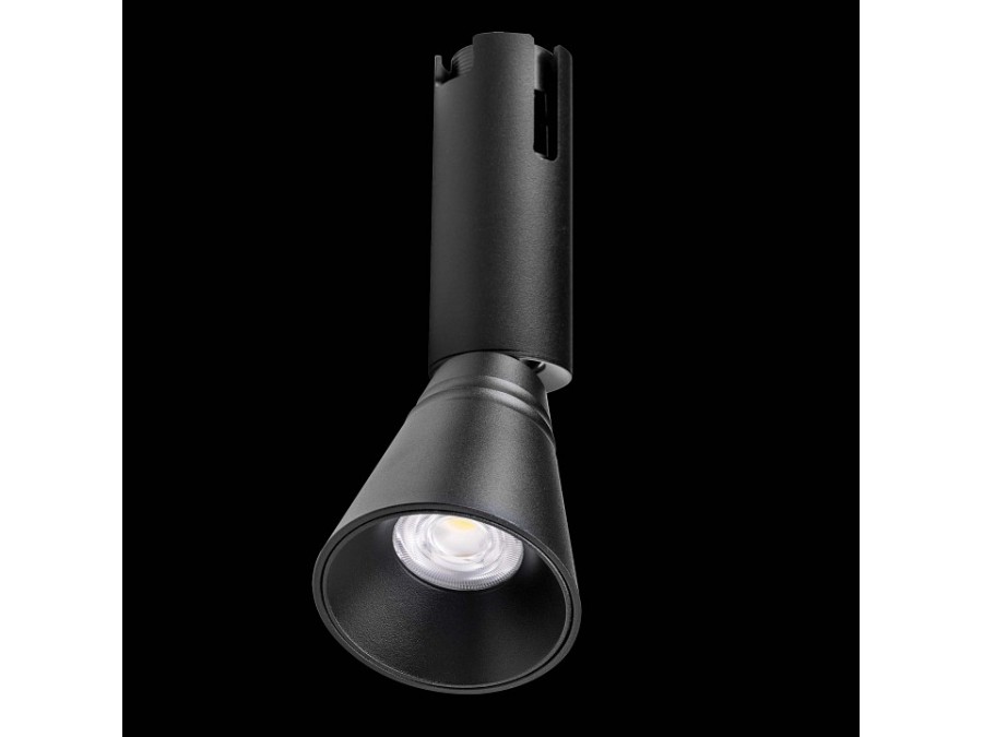 Светильник на штанге Lightstar Due Hermes 210847