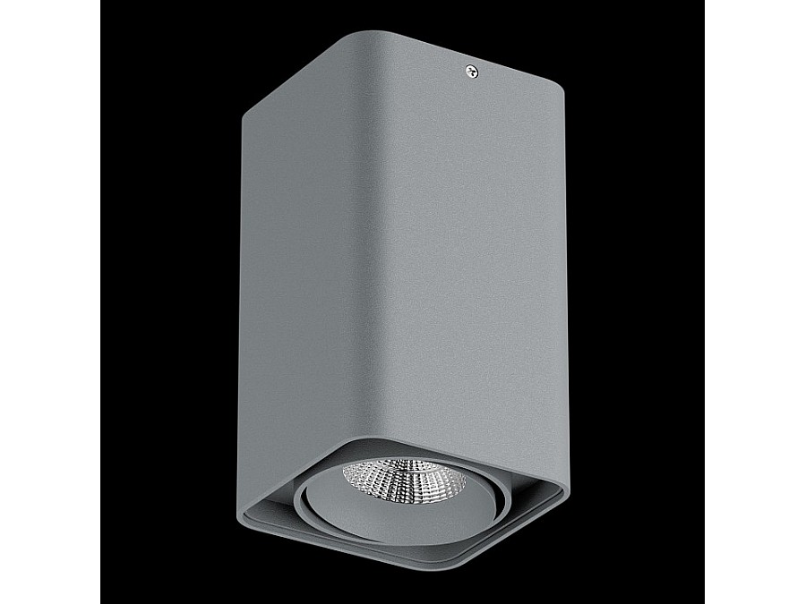 Накладной светильник Lightstar Monocco 052139-IP65