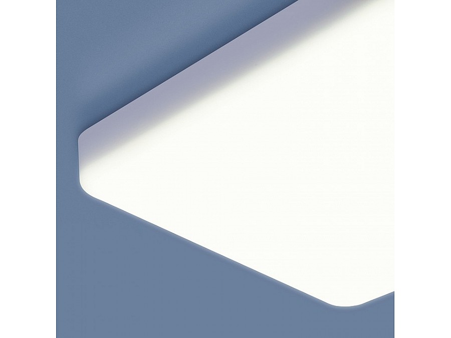 Накладной светильник Elektrostandard DLS043 a047941