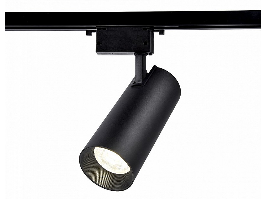 Светильник на штанге Ambrella Light GL GL5859