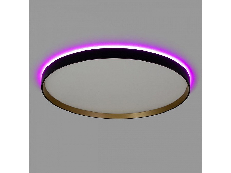 Накладной светильник Citilux ETALON CL750501R