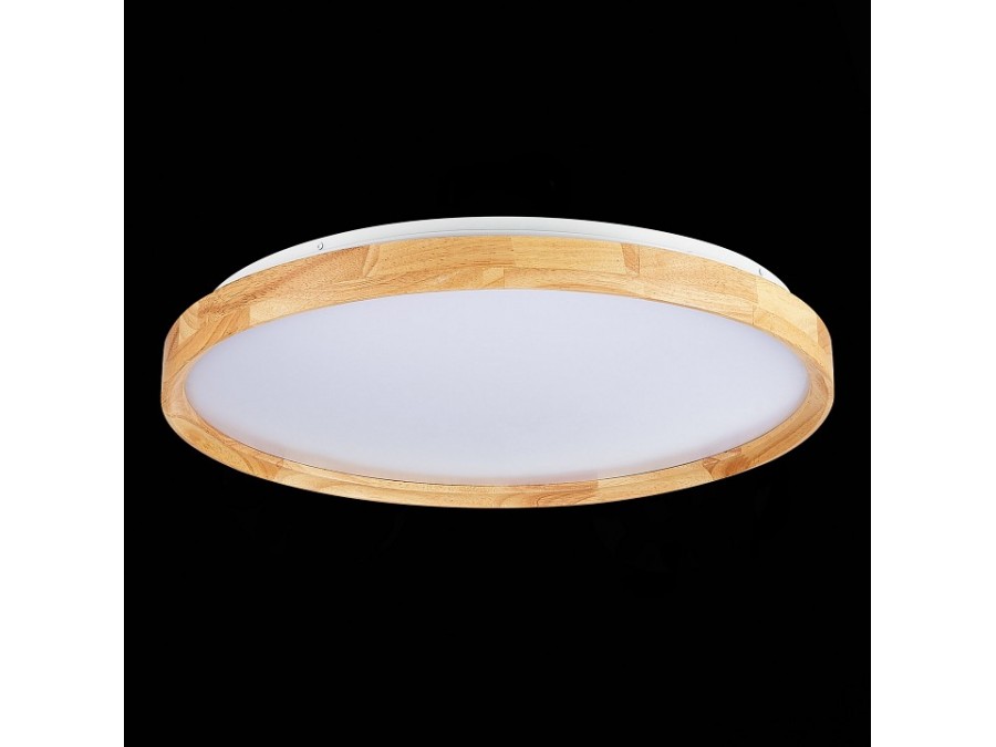 Накладной светильник EVOLUCE DELIA SLE201382-01