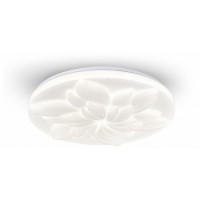 Накладной светильник Escada POLLY 472/PL LED