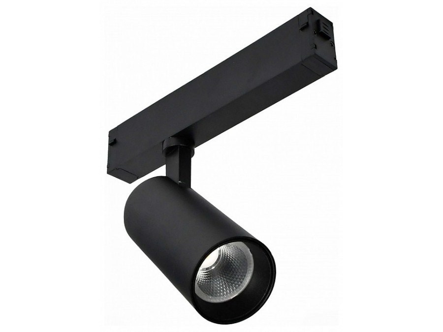 Светильник на штанге ST-Luce SKYLINE 220 ST660.446.20H