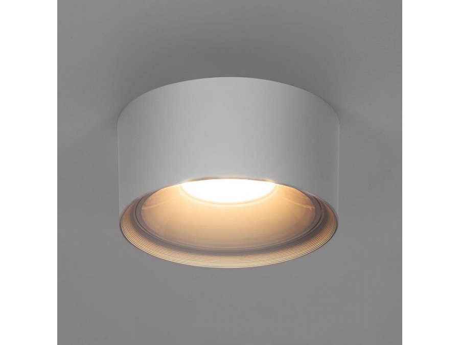 Накладной светильник Citilux Rover CL743090N