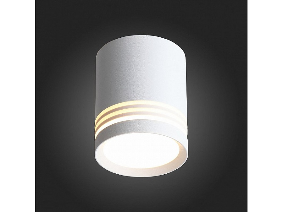 Накладной светильник ST-Luce Cerrione ST101.542.05