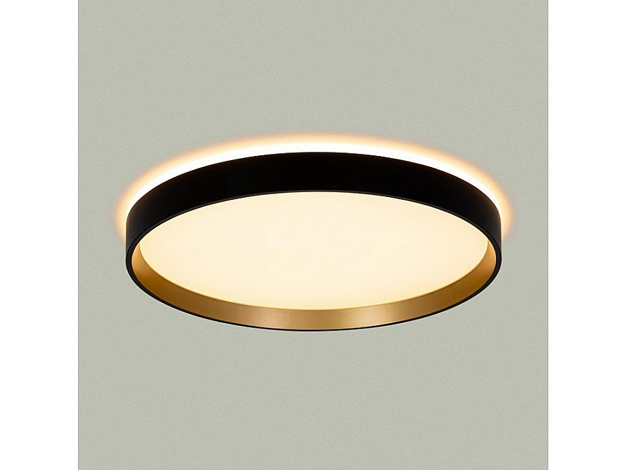 Накладной светильник Citilux ETALON CL750321R