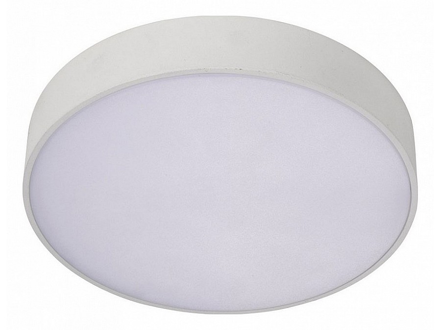 Накладной светильник Aployt Evon APL.0113.09.24