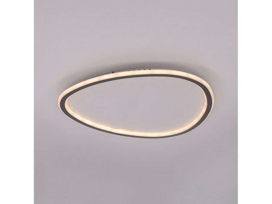 Накладной светильник Citilux ТRIO CL215B251E