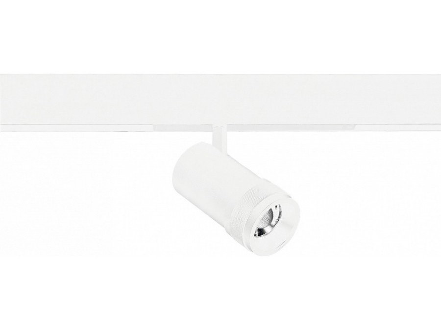 Светильник на штанге ST-Luce SKYLINE 220 ST658.596.20