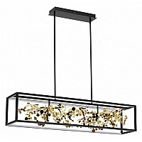 Светильник на штанге Odeon Light Bild 5065/65L