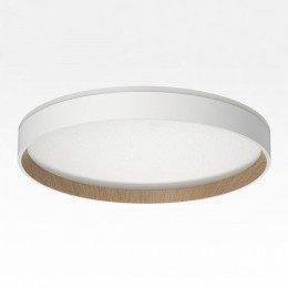 Накладной светильник Citilux ETALON CL750320R