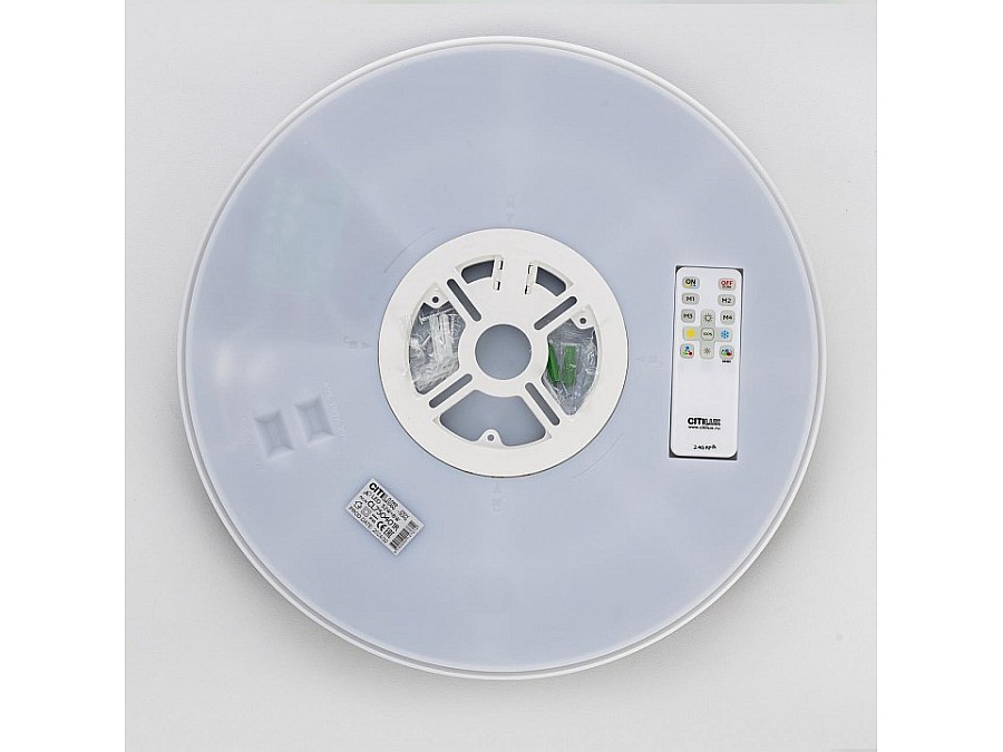 Накладной светильник Citilux ETALON CL750401R