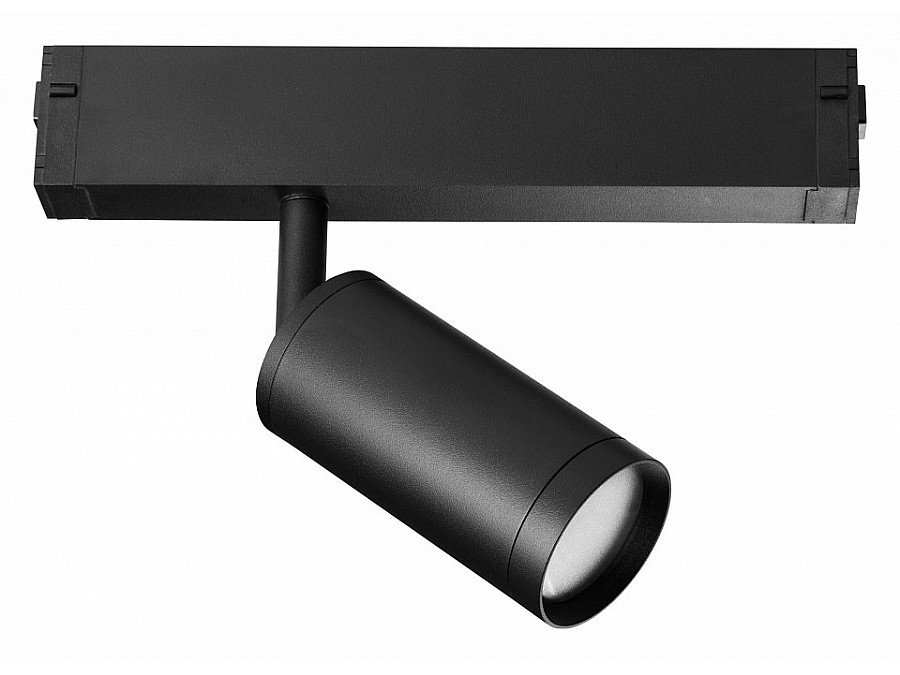 Светильник на штанге Lightstar Teta 205027