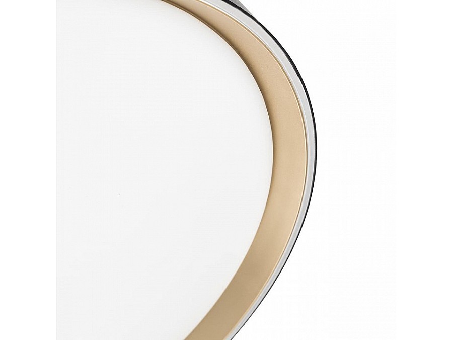 Накладной светильник Citilux BOSS CL751451G