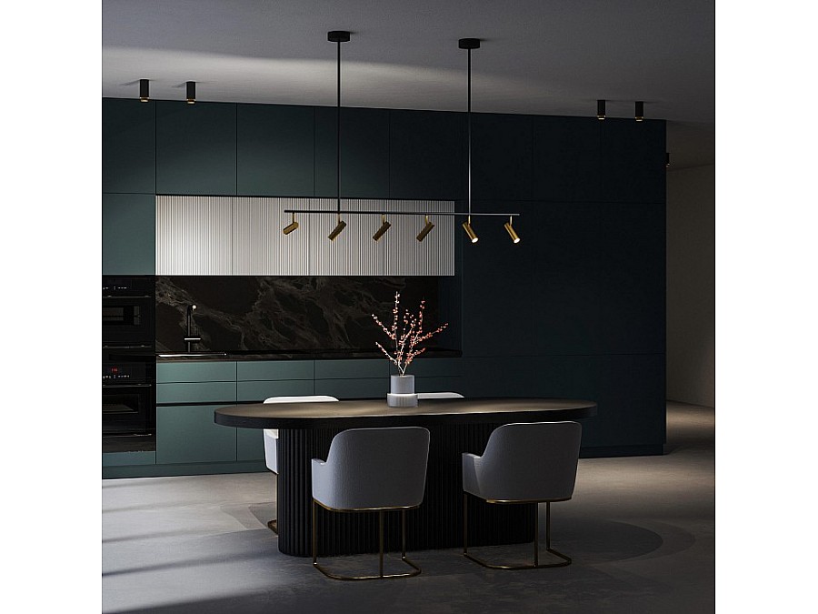 Светильник на штанге Eurosvet Epiphania 20252/6 LED черный/латунь