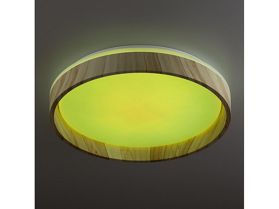 Накладной светильник Citilux ENZO CL753352G