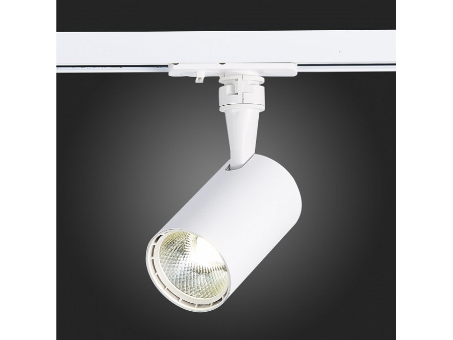 Светильник на штанге ST-Luce Cami ST351.536.10.24