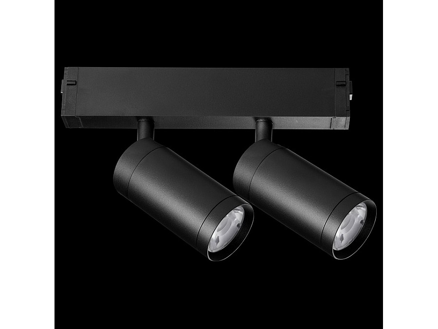 Светильник на штанге Lightstar Teta 205507