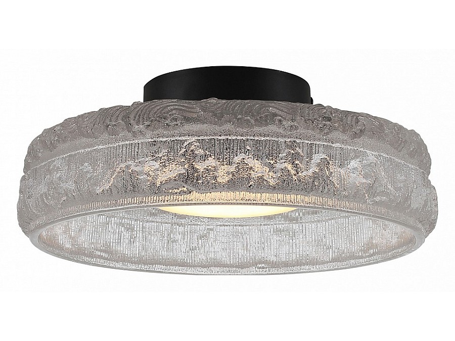 Накладной светильник ST-Luce ANTIKE SL6143.402.01