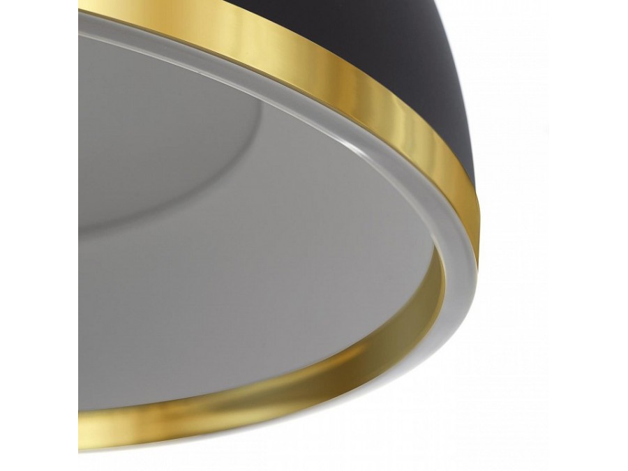 Подвесной светильник Citilux FLOOM CL736251