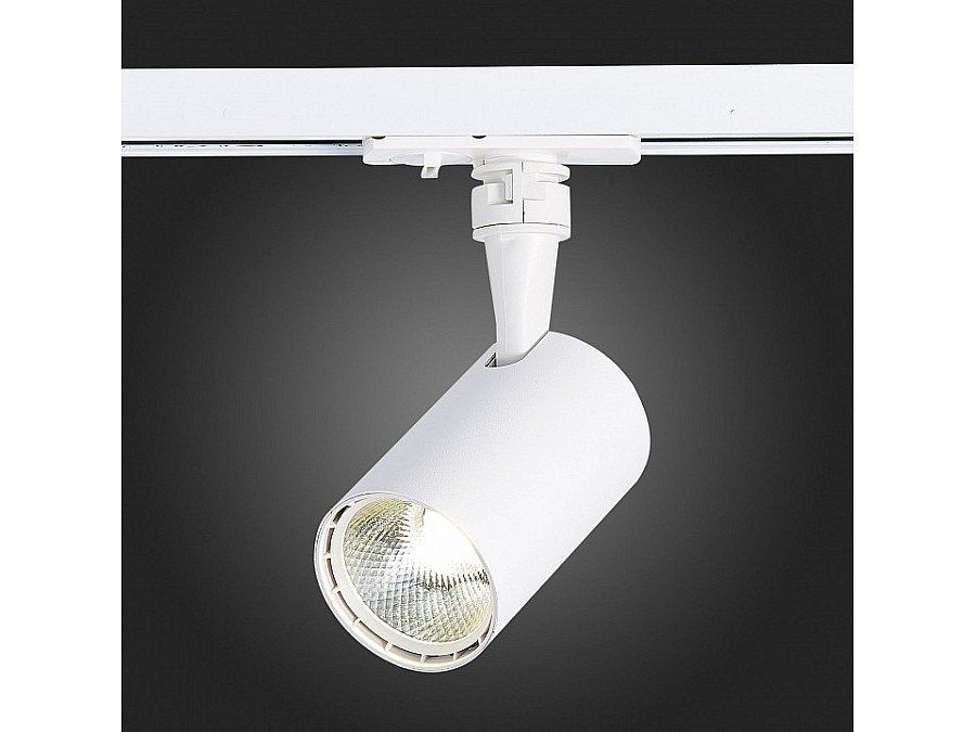 Светильник на штанге ST-Luce Cami ST351.536.10.36