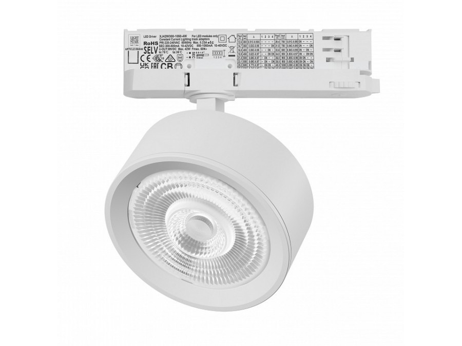 Светильник на штанге Lightstar Alta Pro A5646QT60G