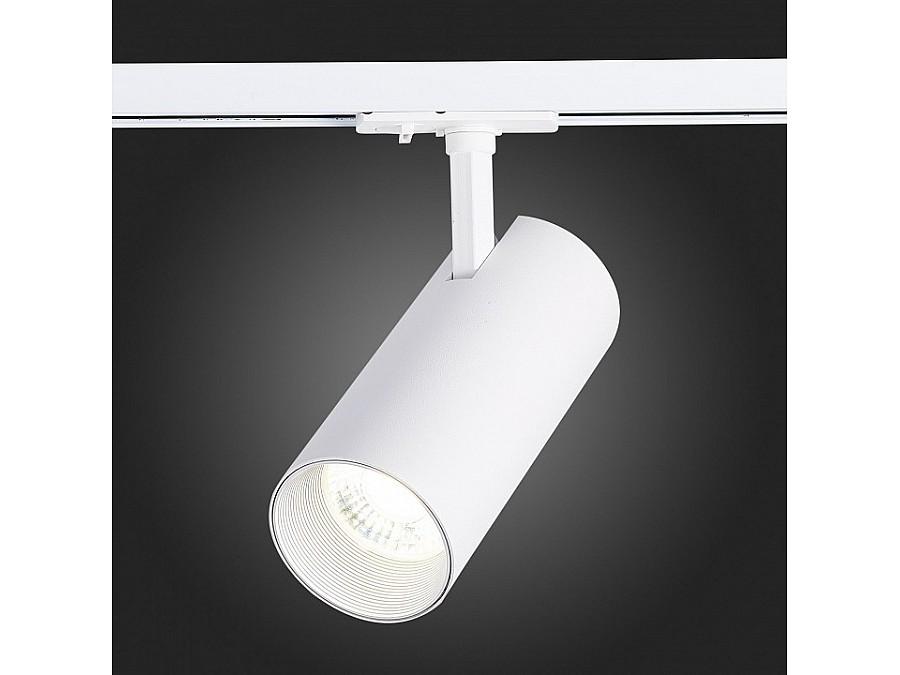 Светильник на штанге ST-Luce Mono ST350.536.30.36