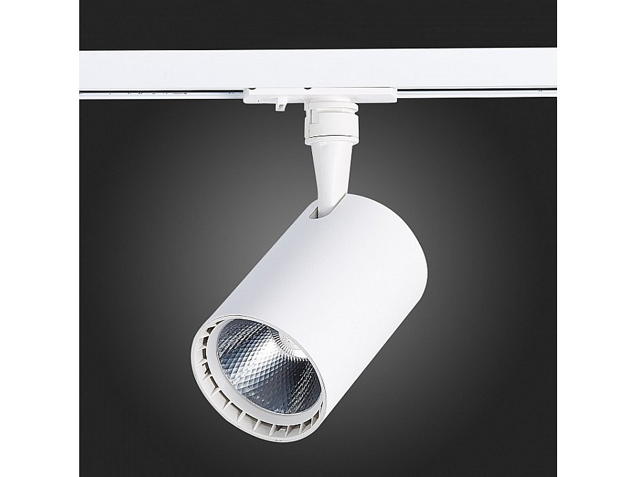 Светильник на штанге ST-Luce Cami ST351.546.15.36