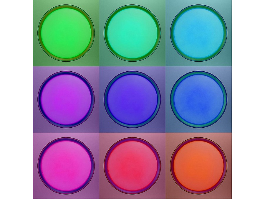 Накладной светильник Citilux BOSS CL751351G