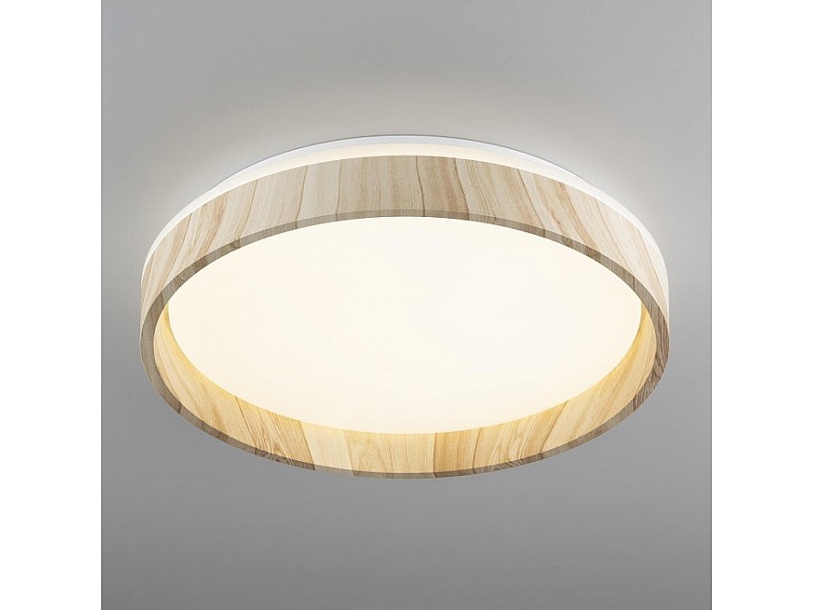 Накладной светильник Citilux ENZO CL753352G