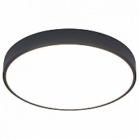 Накладной светильник Arte Lamp Arena A2661PL-1BK