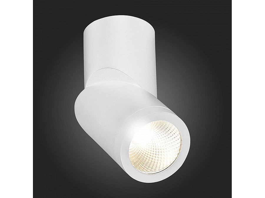 Светильник на штанге ST-Luce ST650 ST650.532.10