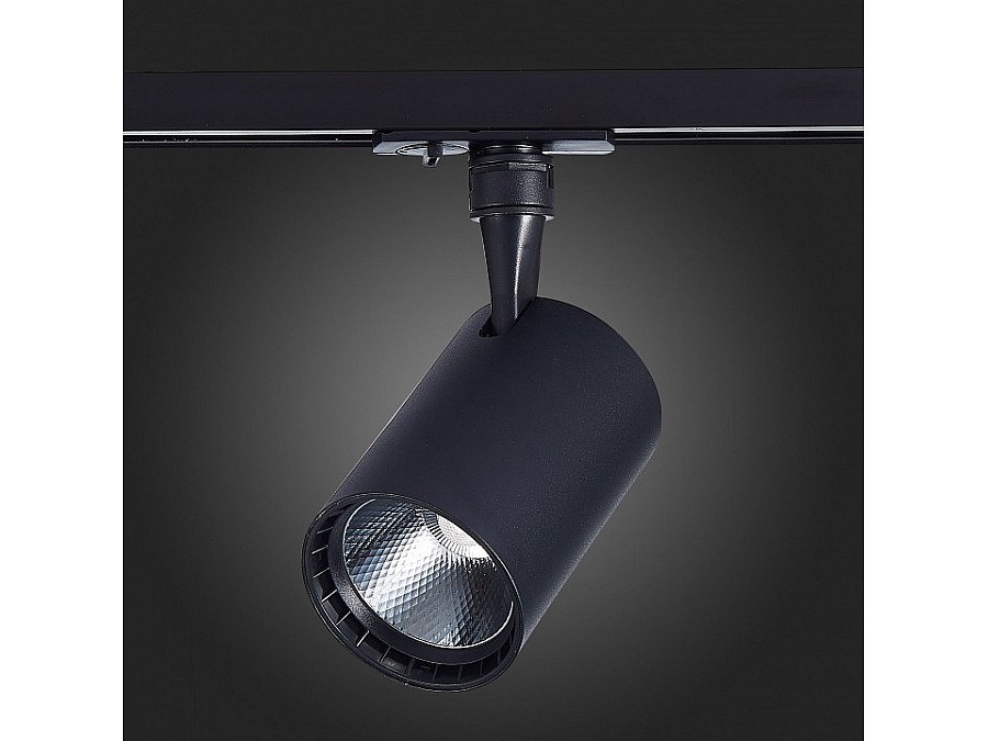 Светильник на штанге ST-Luce Cami ST351.446.30.36