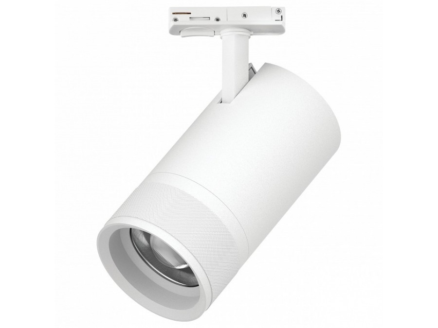 Светильник на штанге Lightstar Canno Pro C4406SS