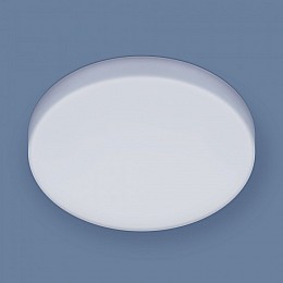 Накладной светильник Elektrostandard DLR043 a047940