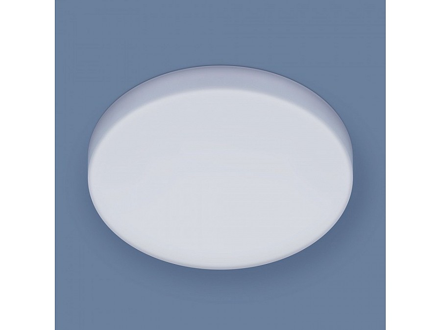 Накладной светильник Elektrostandard DLR043 a047940